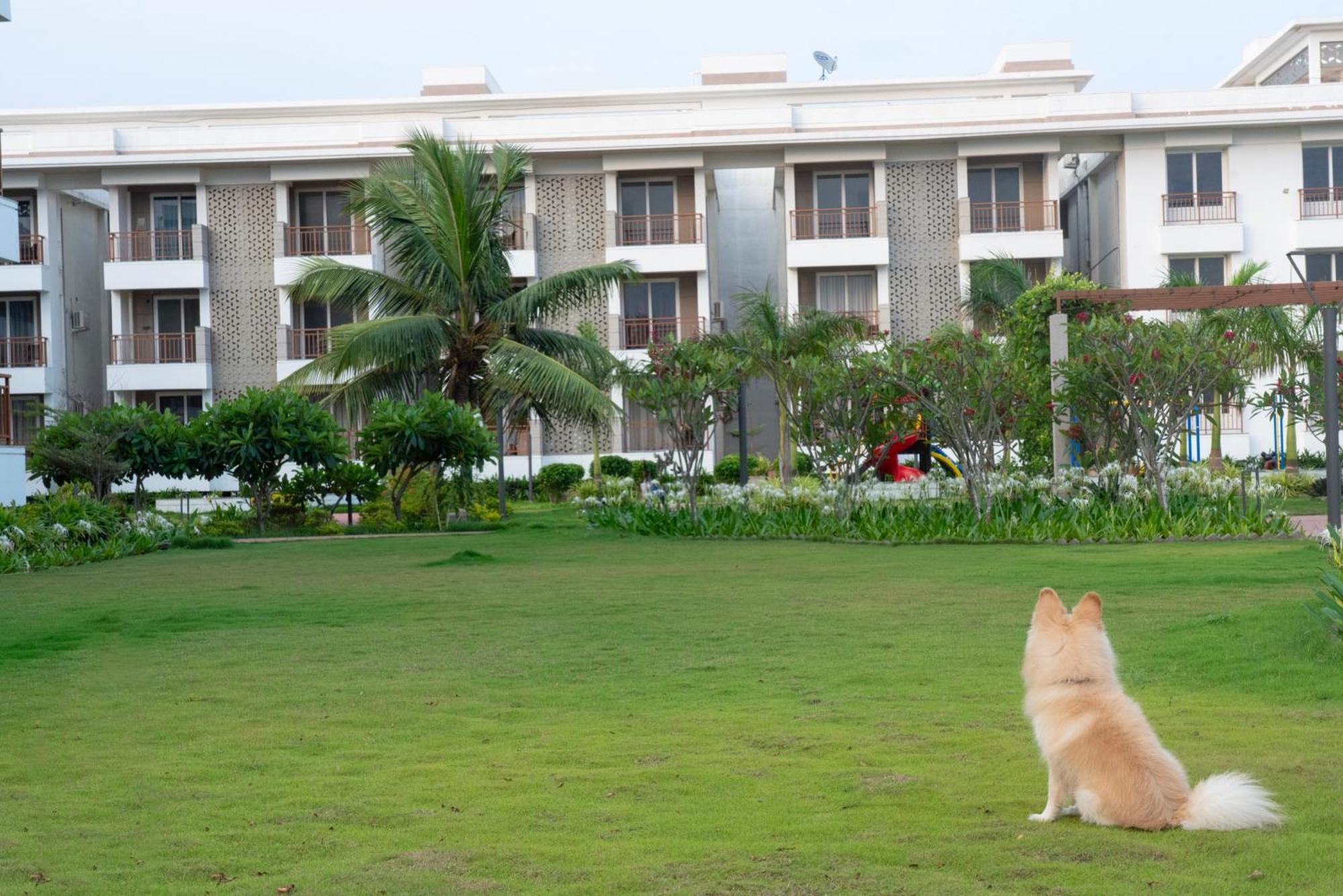 Palm Regal Resort Gopālpur Esterno foto