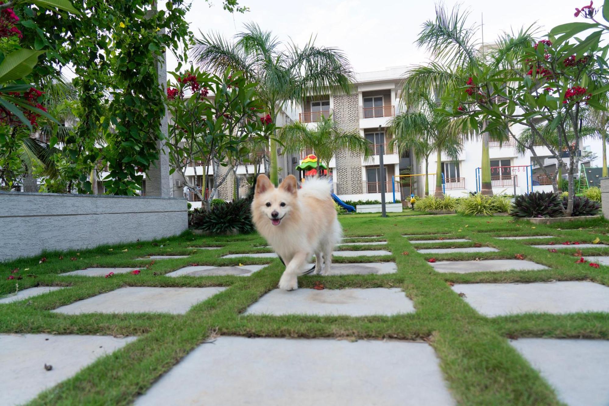Palm Regal Resort Gopālpur Esterno foto